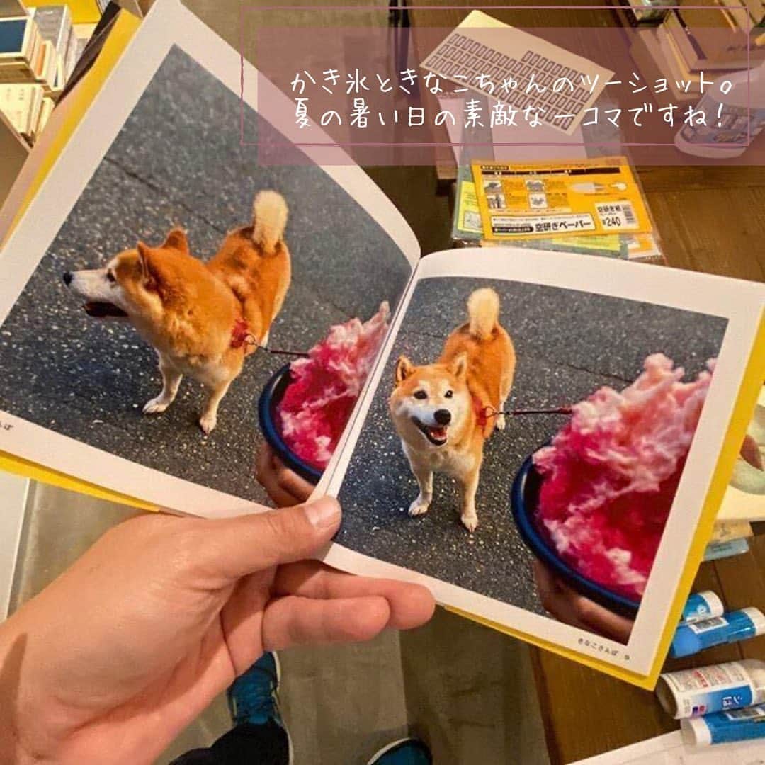 しまうまプリント【公式】フォトブック無料企画開催中さんのインスタグラム写真 - (しまうまプリント【公式】フォトブック無料企画開催中Instagram)「愛犬きなこちゃんとのお散歩フォトブック🐕 ・ 本日ご紹介するのは @hontohitsuji さまのご投稿です。 ・ 柴犬のきなこちゃんとの毎日のお散歩の様子を フォトブックにまとめて頂きました💕 ・ かき氷に興味津々な様子や にっこり笑顔のベストショットが入った、 とっても可愛らしい1冊になりました🦓 ・ ・ しまうまプリントでは みなさまのフォトブック・写真プリント作品を お待ちしています。 上手にできたら#わたしのフォトブック をつけて 投稿してみてくださいね ・ ・ -------------------------------- しまうまプリントのインスタグラムでは 豪華プレゼントキャンペーン実施中🎁 ☟こちらからプロフィールへ  @shimaumaprint -------------------------------- ・  @hontohitsujiさま、 素敵なご投稿ありがとうございました！ ・ ・ ・ #しまうまプリント#しまうまフォトブック#フォトブック#写真プリント#フォトプリント#ネットプリント#フォトアルバム#写真アルバム#手作りアルバム#オリジナルアルバム#アルバム作り#しばいぬ#しばいぬのいる生活#柴犬#柴犬のいる暮らし#犬のいる暮らし#犬との暮らし#shiba#shibe#shibainu#shibastagram#しばすたぐらむ#ふわもこ部#ふわもこ#おさんぽ#お散歩 Repost from @hontohitsuji ・・・ 六本松を去る、きなこちゃんのためにフォトブックをしまうまプリントで作成。我ながら可愛いフォトブックが作れました。 もちろんきなこママにもプレゼントしました。見に来てね。#bookshop本と羊　#六本松四丁目　#しまうまプリント」8月25日 18時15分 - shimaumaprint