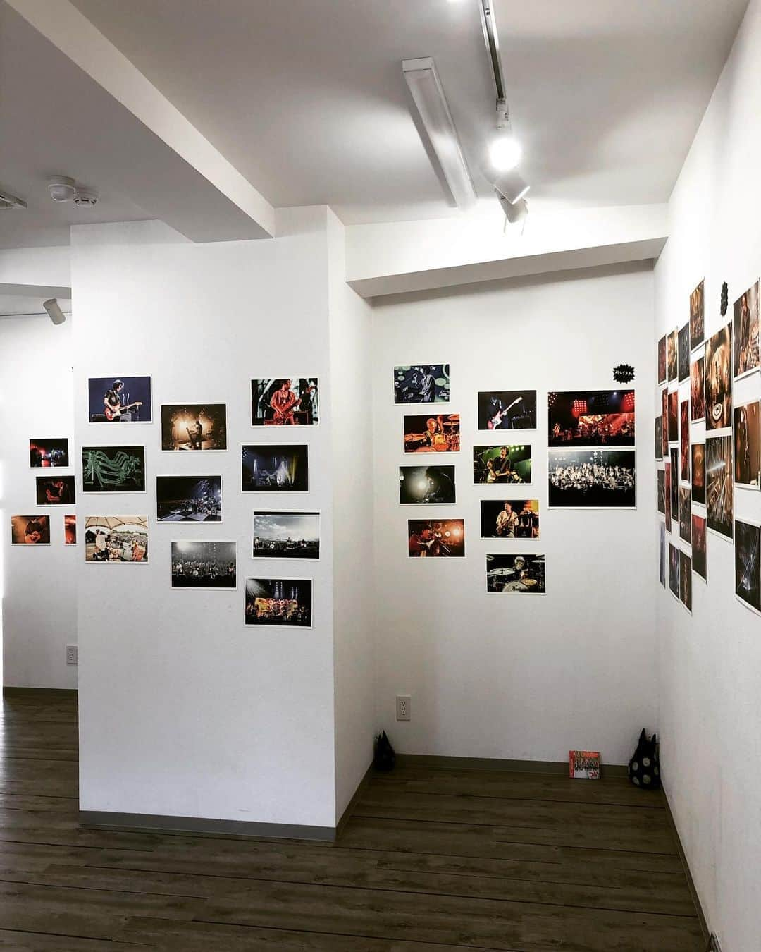 橋本塁さんのインスタグラム写真 - (橋本塁Instagram)「【サウシュー渋谷写真展6日目終了!】 ご来展ありがとうございました！明日も11-19時でギャラリールデコ(渋谷3-16-3ルデコビル6&5階)にてコロナ感染防止対策して僕とポルカ店長代理は一日中ずっと居ます！平日は人も少なくゆっくり安全に観れるので渋谷お立ち寄りの際は是非！ #サウシュー #stingray #渋谷  #oneokrock #ワンオクロック #ストレイテナー #NCIS #androp #thebawdies #thepillows #fomare #FBY #lowiq01 #thebackhorn #9mmparabellumbullet  #hawaiian6  #ren」8月25日 19時04分 - ruihashimoto