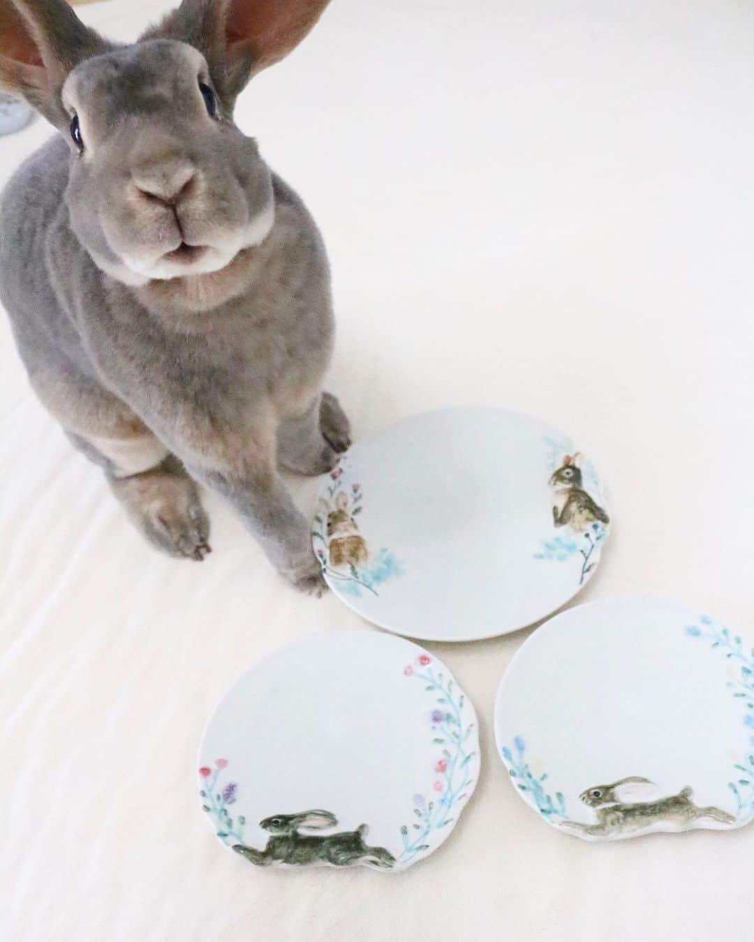 Kayoのインスタグラム：「🐰念願の可愛いコたち♡ ・ ・ くじ運０やのに奇跡が起きた✨ 前からずっと欲しかった @utsuwayamitasu うちの子色で作っていただけました♡  嬉しすぎる♡ ありがとうございます✨」