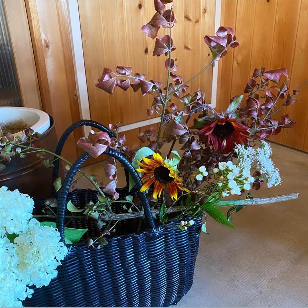 武藤乃子さんのインスタグラム写真 - (武藤乃子Instagram)「💐 久々のお花のレッスンは、バスケットのアレンジでした。 カゴバッグの中に、花器が2つ仕込んであります。笑  大好きな向日葵🌻の珍しい色と、枝もののニシキギの紅葉が、早くも秋の雰囲気になりました🍁  #フラワーレッスン #フラワーアレンジメント  #フラワーアレンジ  #お花のある暮らし  #お花のある生活  #花のある暮らし  #花のある生活  #大人の習い事  #癒し  #癒しの時間」8月25日 19時33分 - muto_noriko.11