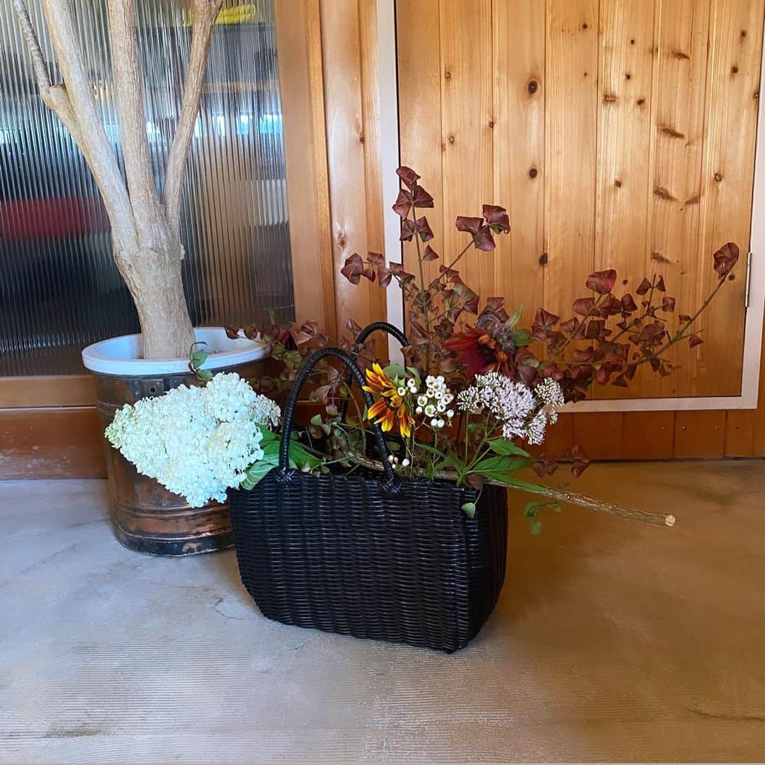 武藤乃子さんのインスタグラム写真 - (武藤乃子Instagram)「💐 久々のお花のレッスンは、バスケットのアレンジでした。 カゴバッグの中に、花器が2つ仕込んであります。笑  大好きな向日葵🌻の珍しい色と、枝もののニシキギの紅葉が、早くも秋の雰囲気になりました🍁  #フラワーレッスン #フラワーアレンジメント  #フラワーアレンジ  #お花のある暮らし  #お花のある生活  #花のある暮らし  #花のある生活  #大人の習い事  #癒し  #癒しの時間」8月25日 19時33分 - muto_noriko.11
