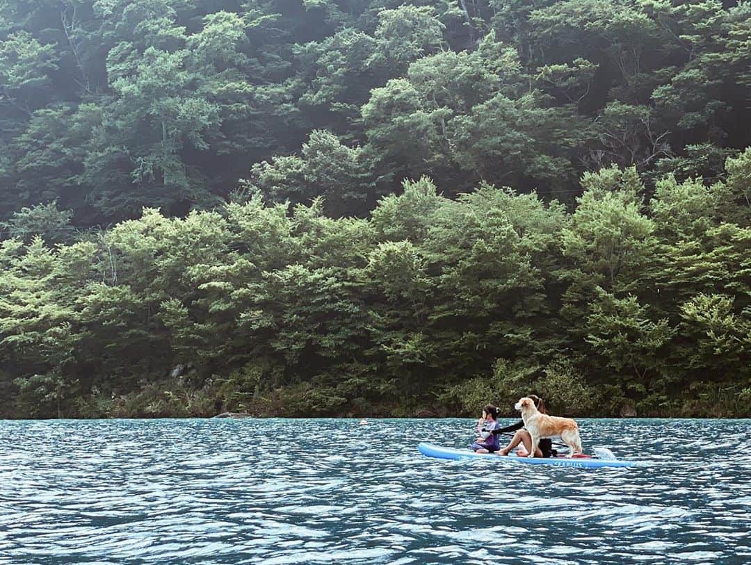 高橋菜摘さんのインスタグラム写真 - (高橋菜摘Instagram)「🗻 ふらっと山梨tripキロク📝 下見に行ったキャンプ場で 急に乗りたくなってボートへ @bose の スピーカー持ってったの🎶 ボートで寝転がりながらの @jackjohnson の曲が染みた💓 . 息子めっちゃ楽しそうだったな💭 けど多分何より大人が幸せで仕方なかった。 全然人が居なくて波も無く涼しく。 富士山も目の前にうっすら存在して🗻 あー湖っていいよね、本当。 山川海ばかりな数ヶ月だけど たまには湖水浴〜🤍 あれ、私の世界に “都会”は無くなったかな？笑 秋は #湖畔キャンプ 🏕 ばかりになりそうだなぁ💭 . . #familytime  . . #家族 #家族写真 #家族旅行 #ボート #湖畔 #山中湖 #山梨旅行 #4歳差兄妹 #5歳と1歳 #旅行　 #浩庵キャンプ場 キャンプ場 #本栖湖」8月25日 22時15分 - natsu128