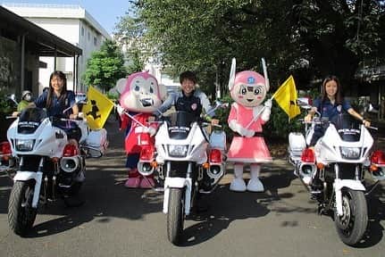 川島はるなさんのインスタグラム写真 - (川島はるなInstagram)「. . 神奈川県警察および相模原南警察署主催で行われました相模原市立双葉小学校の見守り活動に参加させていただきました。 . 白バイにも載せていただき感激です☺️✨ . こらからも、生徒の皆さんが安全に登校してくれることを願います！ . 貴重な経験をありがとうございました😊👮‍♀️🚩 . #ノジマステラ  #ノジマステラ神奈川相模原 #交通安全 #櫻本尚子 #大隅沙耶」8月25日 22時30分 - haruna__kawashima