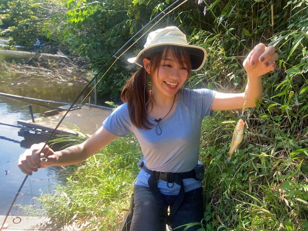 立石純子さんのインスタグラム写真 - (立石純子Instagram)「⠀ ⠀ 今日は初のバス釣りに⠀ 福島県いわき市へ🎣✨⠀ ⠀ こ〜んなかわいいブラックバスに出会うことができました。⠀ とってもうれしい〜😢😭 ⠀ 釣具屋さんで迷って買ったルアーもエギと一緒にお気に入りになりました🤲⠀ ⠀ ⠀ まだまだ知らない事が沢山😊⠀ もっと釣りの楽しさを見つけていくぞ〜･:*+ ⠀ ⠀ #コバッチー  #バーブレス #ブラックバス　#バス釣り #スピナー #fishing #fish #bassfishing #bass ##立石純子 #はだのブランドアンバサダー #シンガーソングライター #釣り #釣りガール #野池 #pond #旅ガール #trip #instalike #instagood #instadaily #like4lik  #love#photooftheday #キャスト #ルアーキャスティング #アウトドア #outdoor」8月25日 22時53分 - junkokokotateishi