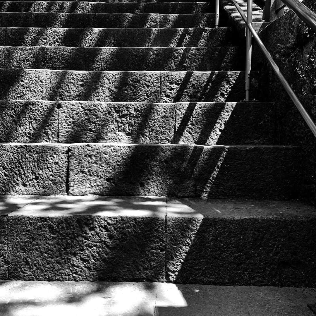 naotakeのインスタグラム：「階段 - Stairs / iPhone XR & Snapseed, 20200826 . . 久しぶりの混んでいる電車（それなりに立っている人がいる）にすこし緊張する。 . . #spicollective #royalsnappingartists #infamous_family #rsa_main #infinity_photo_cult #2_fineart #jp_gallery_member #jp_gallery_bnw #trb_bnw #wp_bnw  #bnw_life #bnwlife_member #bnw_life_shots #bnw_captures #world_bnw #top_bnw #team_jp_ #team_jp_モノクロ #ig_energy_bw #ig_nihon #streetphotographybnw #igersjp #blackandwhite #bnw #bnwphoto #monochrome #bw #bnwphotography #ShotOniPhone #shotoniphoneXR」