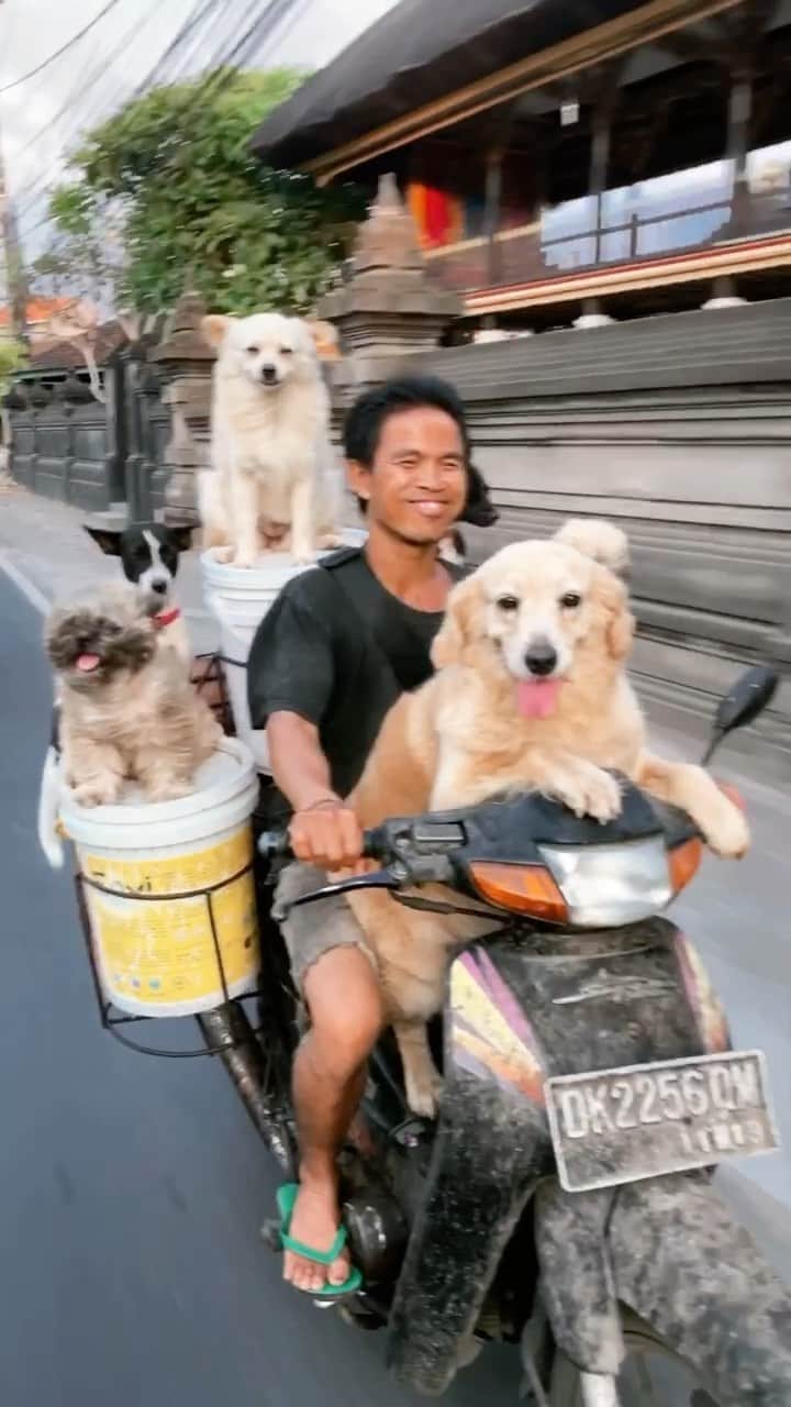 bestvacationsのインスタグラム：「Daily commute in Bali! 🐶 😂 Tag your squad! By @doyoutravel #BestVacations」
