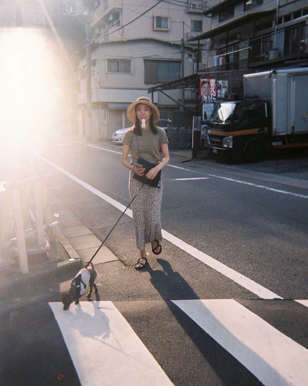 のインスタグラム：「ながらパピコ🍦🍧#filmphotography #彼カメラ」