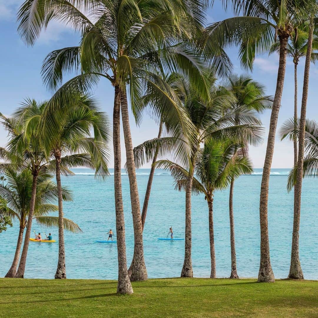 のインスタグラム：「Imagine you and your best friend enjoying 6 lazy days under the shade of these palms.... 🌴 Tap the link in our bio to enter our WIN a Trip to Fiji Competition and make it a reality! 📷 @tourismfiji」
