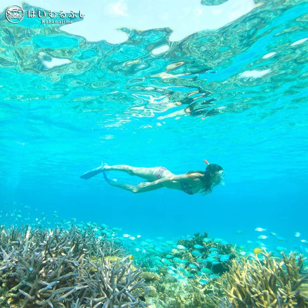 HAIMURUBUSHI はいむるぶしさんのインスタグラム写真 - (HAIMURUBUSHI はいむるぶしInstagram)「小浜島・はいむるぶしから癒しの風景をお届けします。 サンゴ礁は海のオアシス。 豊かなサンゴの森が広がり、多種多様な生命を育む揺り籠。 いつまでも美しいサンゴ礁の海に癒されたいですね… #沖縄 #八重山諸島 #サンゴ #海 #シュノーケル #小浜島 #リゾート #はいむるぶし」8月26日 1時00分 - haimurubushi_resorts