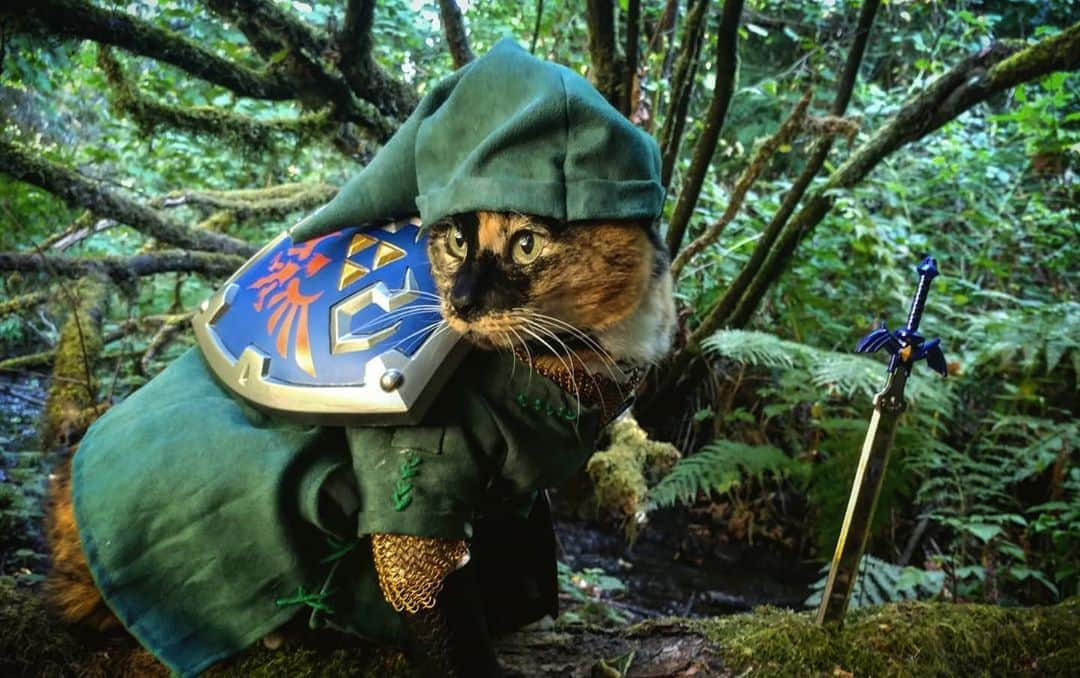 猫コスプレさんのインスタグラム写真 - (猫コスプレInstagram)「🎶🅰️ 🔼◀️▶️◀️▶️🎶  #LegendOfZelda  . . . . . . . #catcosplay #cosplay #cosplayer #cat #catcostume #catsinclothes #catsofinstagram #catstagram #petclothes #PetCostume #loz #lozfanart #link #linkcosplay #legendofzeldamemes #legendofzeldacosplay #videogamecosplay #nintendo #nintendocosplay」8月26日 1時02分 - cat_cosplay