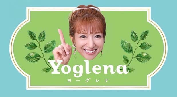 トリイクニコのインスタグラム