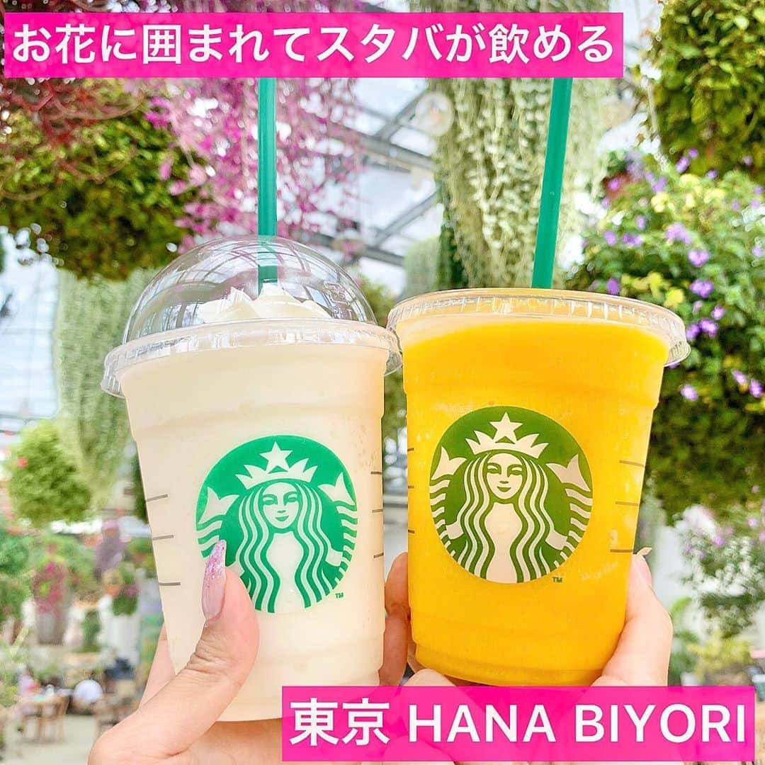 吉川ちえのグルメインスタ