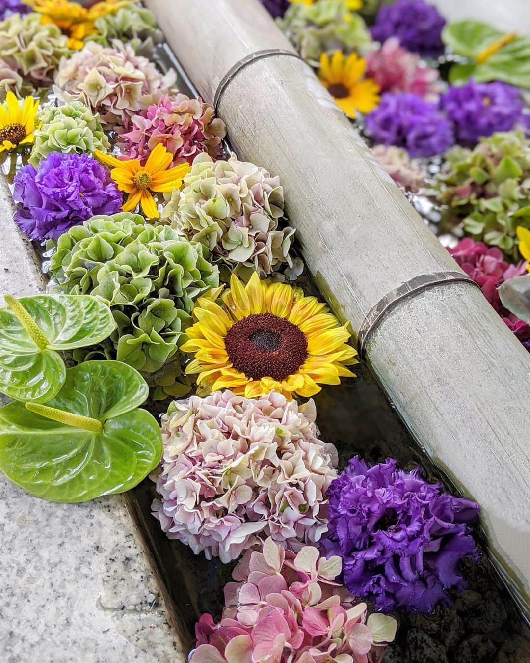 美咲あいりのグルメインスタ