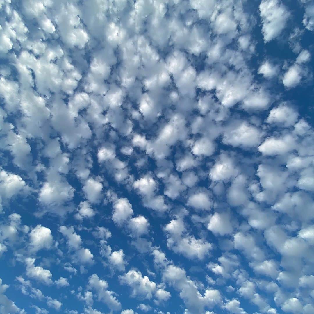 レイン・ウィルソンさんのインスタグラム写真 - (レイン・ウィルソンInstagram)「Mostly I take pictures of the sky. I’ve been thinking a lot about all the spiritual metaphors of "sky vs clouds." Much to ponder there. Clouds (thoughts) are busy. They come and go. They obscure. They are impermanent. The sky (soul) is always beyond - placid, blue, watching. It's arms wrapped around the earth.  You are the sky. The clouds are what happens. What comes and goes. -Eckhart Tolle   “You are the sky. Everything else – it’s just the weather.” -Pema Chodron  Let the display of thoughts, emotions and perceptions unfold naturally and without clinging, like clouds passing through an open sky. - Tsoknyi Rinpoche  Even if it is very foggy, cloudy or stormy, the blue sky is always there, for us, above the clouds - Thich Nhat Hanh」8月26日 3時26分 - rainnwilson