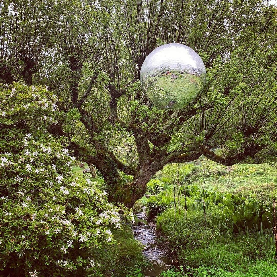 AnOther Magazineさんのインスタグラム写真 - (AnOther MagazineInstagram)「Would you get a disco ball in your garden? 🕺⁠⠀ ⁠⠀ Swipe to peek inside @florastarkey’s dreamy horticultural world 📲  #GorgeousGardens⁠⠀ ⁠⠀ RG @florastarkey 🔁⁠⠀」8月26日 3時31分 - anothermagazine