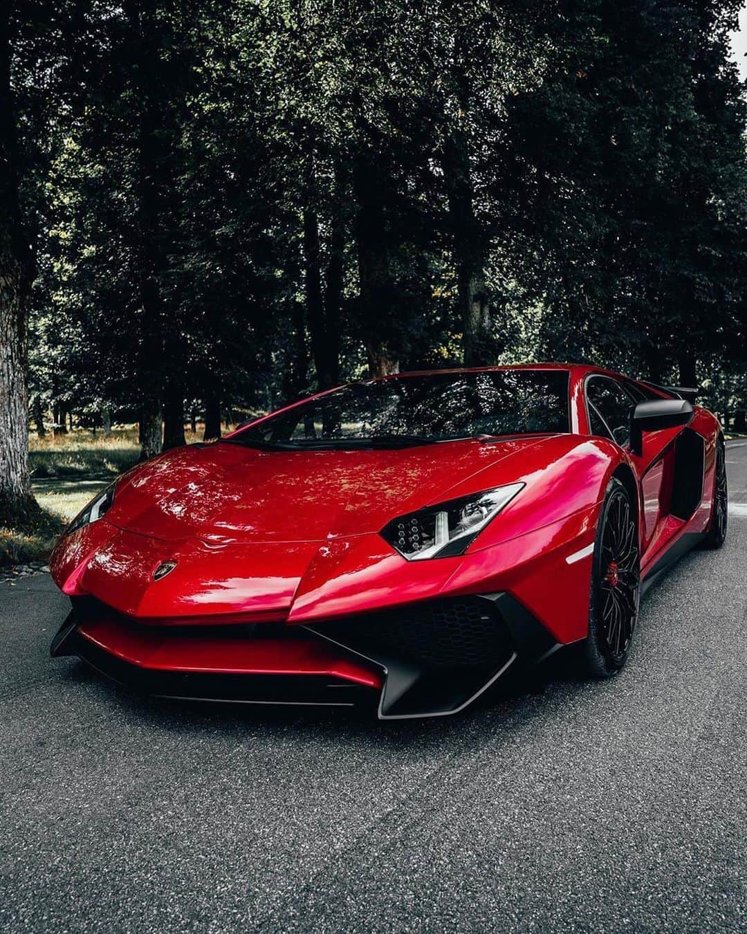 CARLiFESTYLEさんのインスタグラム写真 - (CARLiFESTYLEInstagram)「RED Lamborghini Aventador SV. 💯 Owner @mr.car #carlifestyle」8月26日 4時09分 - carlifestyle