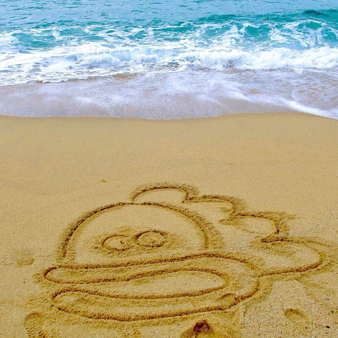 けらえいこのインスタグラム：「今年の夏は１日を除き、ず〜っと家でした。これらの写真は昔のハワイ。１枚目の母だけ屋久島です。どちらも15年も前の。人様にお見せする機会はないと思っていたけど、ちょっとあげてみました😙 #Twitterで使ったことはあったかな #あたしンち」