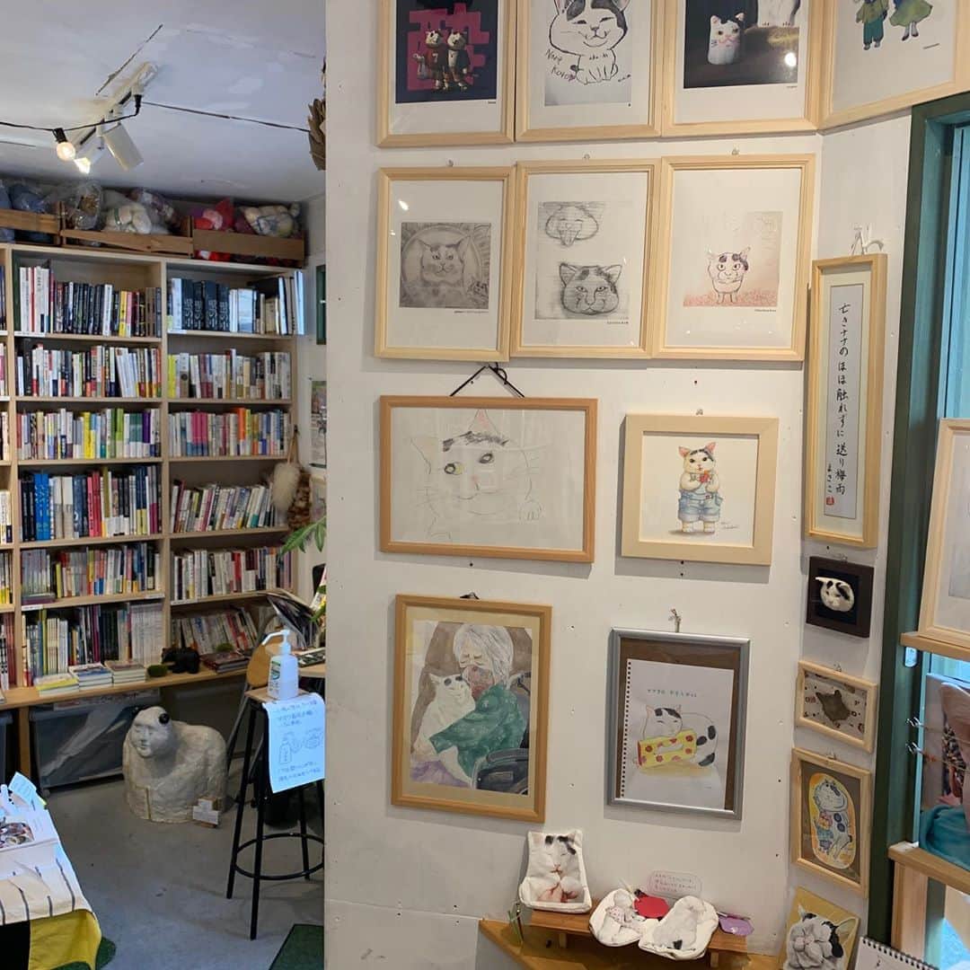 Kachimo Yoshimatsuのグルメインスタ