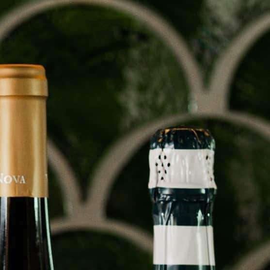 ロングレインのグルメインスタ