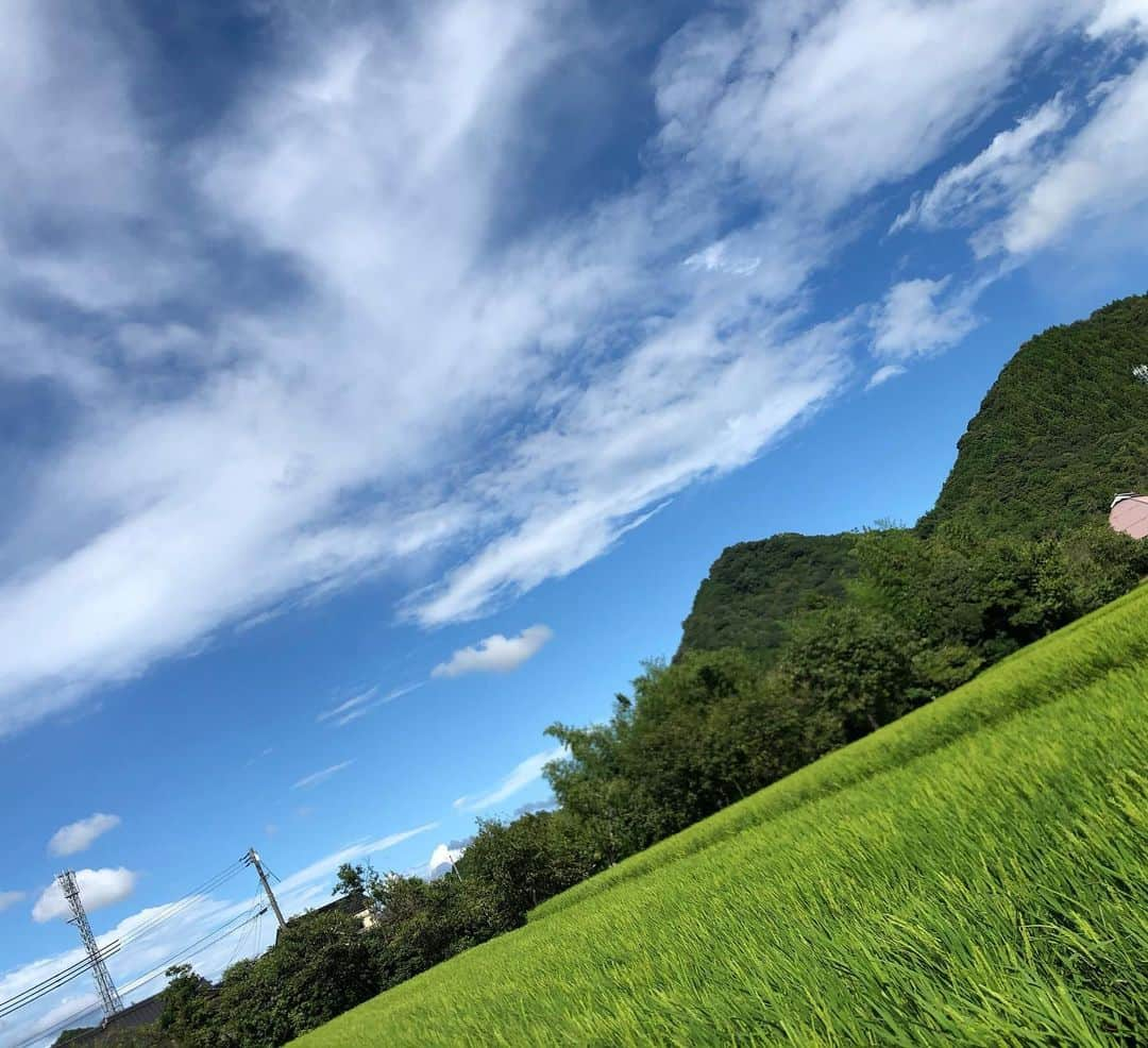 タマルのインスタグラム：「. 今日は台風の影響でか、 風が気持ちいいですね〜🍃  風が吹いてるだけで 暑さも違って感じますが、 まだまだあついので 熱中症🥵対策はしっかりして おきましょう。🍹  #tamaru#TAMARU#タマル板金#板金塗装#車両販売#整備#車屋#山口県#山口市#車好きな人と繋がりたい」