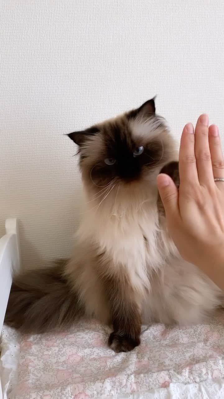 plumeのインスタグラム