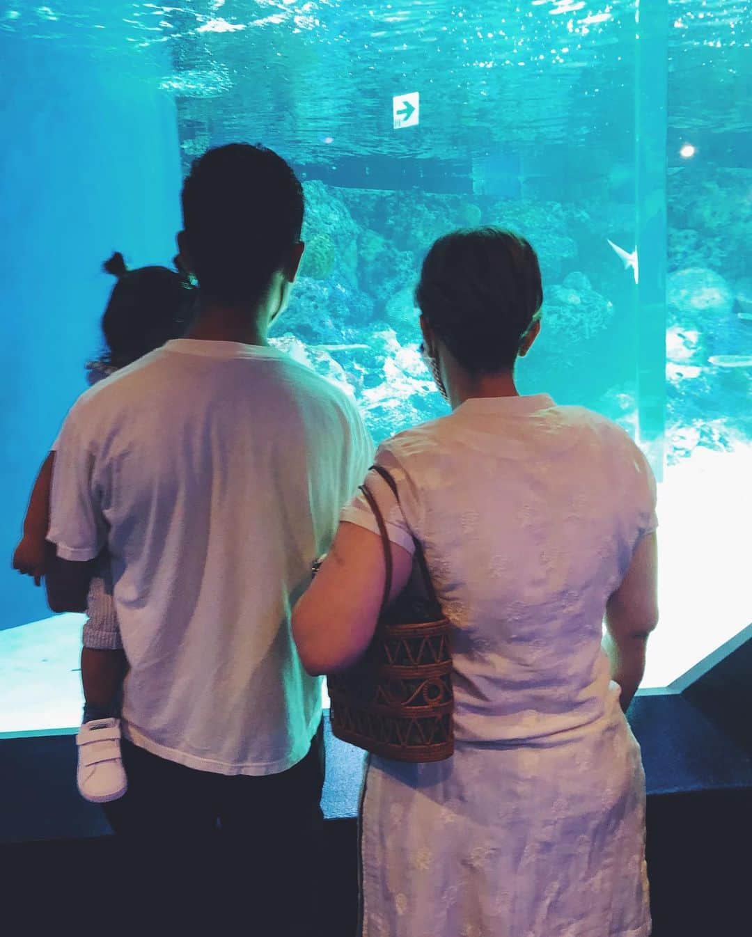 尾形沙耶香さんのインスタグラム写真 - (尾形沙耶香Instagram)「#aquarium 🦈」8月26日 8時38分 - sayakaogata