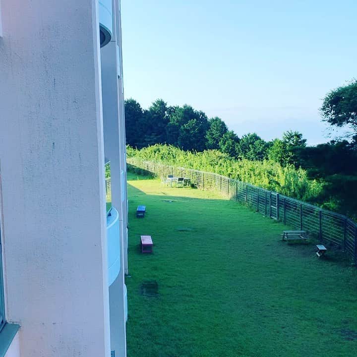 金村義明のグルメインスタ