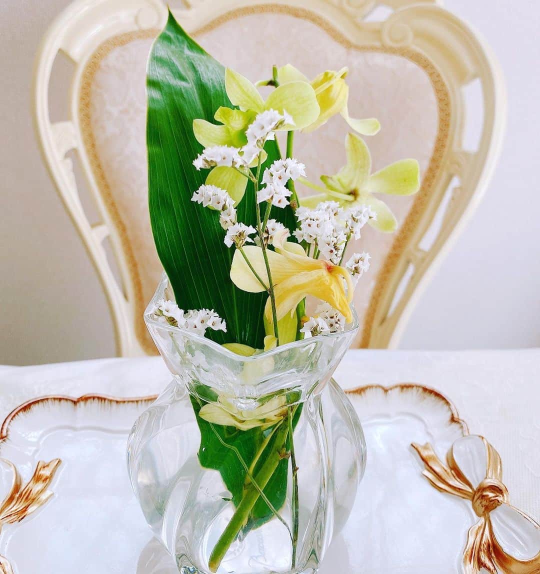 のインスタグラム：「* ❁ .:*・❀・*:.❁ .:*・❀*:.❁ .:*・❀・*:.❁ * 今週のお花🌼はイエロートーン✨ @bloomeelife   〜(❁ᴗ͈ˬᴗ͈)💐 ⇩ 🌼デンファレ 🌼リモニウムハイブリット 🌼ドラセナ  　優しいお色のトーンが癒されます💕 お部屋にお花を飾って　お部屋のお掃除もして運気アップに☘️🏡💮  　🌼クーポン🌼 ⇩ 【ssizu】で 初回のお届けが無料になるので 是非　使って下さいね❤️♥️💖  期日💕⇨8/31まで✨  ギフトやご自分のご褒美に🌸🎁  初回無料で　500円〜初められますので お気軽に🌼  お花からパワーをもらって お部屋の波動も上げて運気アップしちゃいましょう☘🏡💐  ❁.｡*｡.❀.｡*｡.❁.｡*｡.❀.｡*｡.❁.｡. ❁.｡*｡.❀.｡*｡.❁.｡*｡.❀.｡*｡.❁.｡ *  #フラワーディスタンス  #こういう時こそお花を飾ろう #お花のある暮らし  #bloomeelife #お花 #flower  #お花の定期便  #サブスク #baccarat  #lladro #バカラ #開運 #運気アップ ❤️♥️」