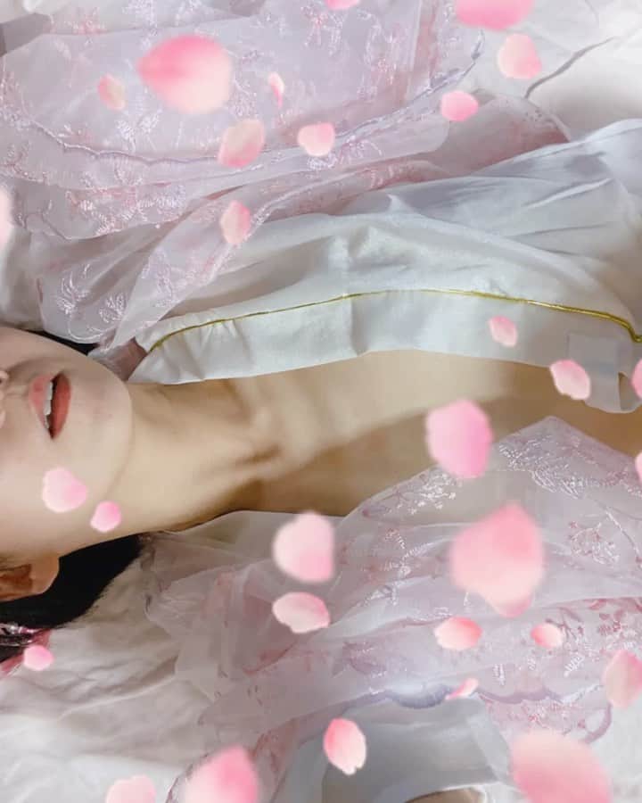 井川ちさと（新尾きり子）のインスタグラム：「🌸ごきげんよう🌸﻿ 天候など色々ございますが、﻿ 御家族＆皆様お元気でいらっしゃいますでしょうか。﻿ 愛する皆様が、健康＆願い事が全て叶いますようお祈り申し上げます⭐﻿ ﻿ 昨日は、お忙しい中、彦星の皆様より愛の言葉を頂き、今までで1番幸せな七夕節でした。﻿ Happy Thank you ⭐﻿ I Love U 🌸🌸🌸🌸🌸🌸🌸﻿」