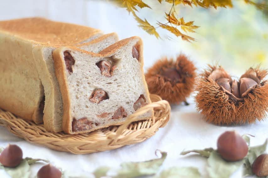 ブレッドバスケットのグルメインスタ