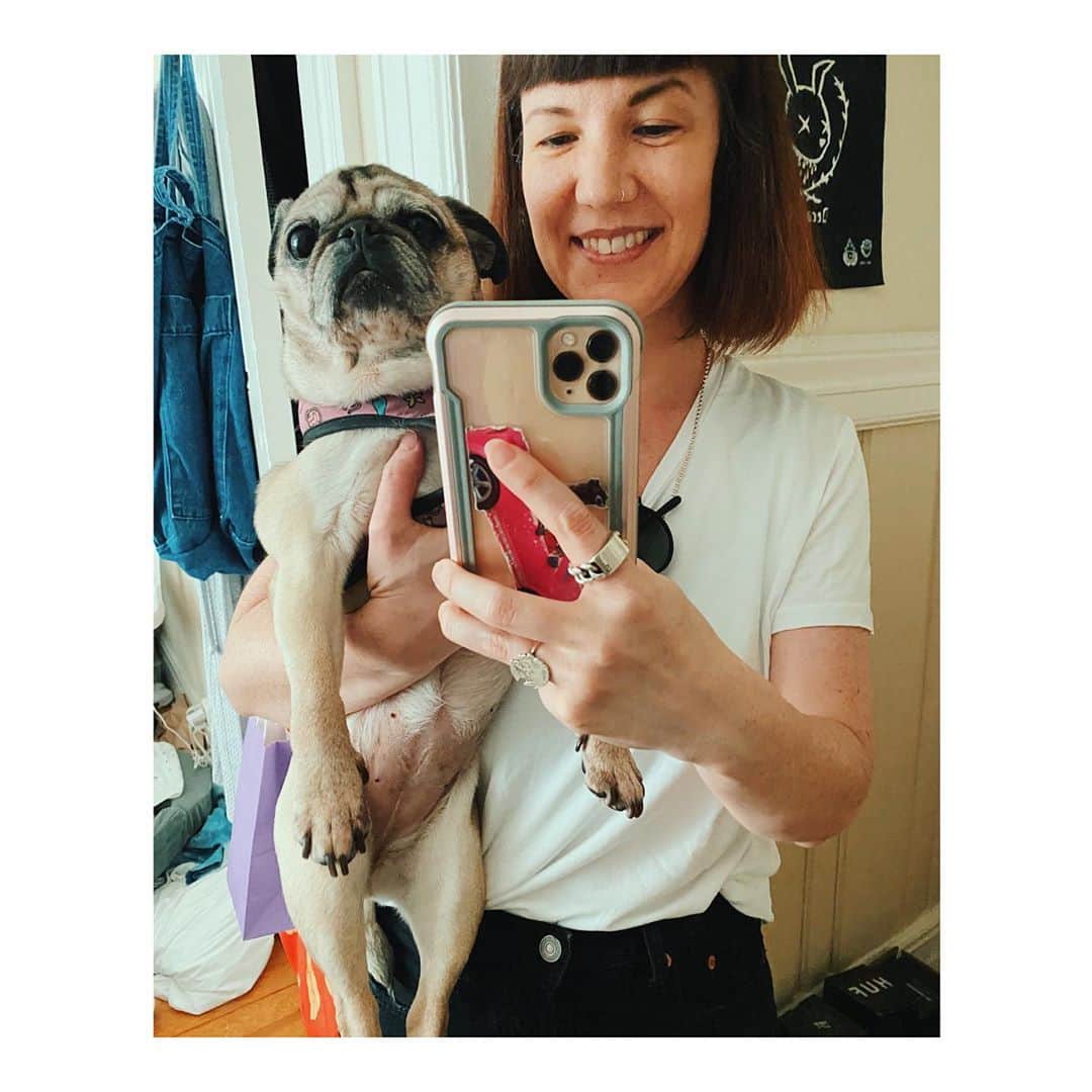 のインスタグラム：「Just me & Pig saying hi. 👋🏽 #DailyPug #LeicaHarrietPancakes」