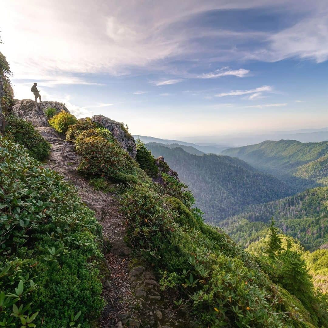 アメリカ内務省さんのインスタグラム写真 - (アメリカ内務省Instagram)「Keep going. Every step takes you a little farther and a little higher. Sometimes in the sun. Sometimes in the shade of a mountain. You can feel that one drop of sweat running down your back. One more turn and one more rise. Stop. Look up. As far as you can see, the rolling ridges of Great Smoky Mountains National Park spread out below you. An endless carpet of green, wrinkled and rounded, runs across #NorthCarolina and into #Tennessee. But the only state you're worried about is joy and the memory of this moment. Photo @GreatSmokyNPS courtesy of Bob Carr (@bobcarrphoto). #GreatSmokyMountains #NationalPark #usinterior」8月26日 9時10分 - usinterior