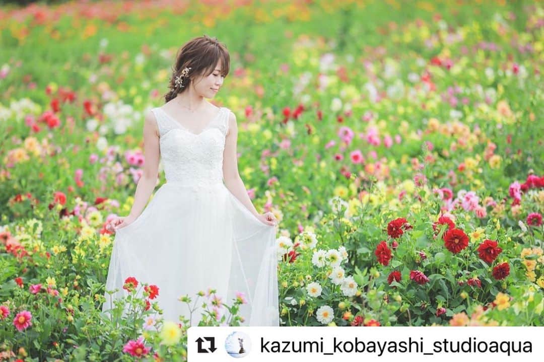 のインスタグラム：「#Repost @kazumi_kobayashi_studioaqua with @make_repost ・・・ . . お花に囲まれての撮影なら、絶対に北海道がオススメです！♡ · 他とは比べ物にならないくらいにたっくさんのお花と、広大な大地と、丘上からの風も気持ちいい！✨ 素敵すぎるロケーション！で撮影出来ます❁⃘*.ﾟ . @studiosola_hokkaido  . . ————————————————— Photographer  @kazumi_kobayashi_studioaqua  Hairmake @minae_hairmake_tvb  カメラマン、ヘアメイクのご指名も承っております◎ ————————————————— .  #スタジオアクア表参道渋谷店 #日本中のプレ花嫁さんと繋がりたい #プレ花嫁 #東京カメラ部 #チェリフォト #スタジオアクア #ウェディングフォト #ヘアスタイル #前撮り #結婚式 #卒花嫁 #ロケーションフォト #ウェディングニュース #結婚式準備 #ウェディングフォトグラファー  #tokyocameraclub #marryxoxo #hairmake #d_weddingphoto #igersjp #和装ヘア #花嫁準備 #teamJP #ig_wedding #prewedding#撮る結婚式 #おしゃれ花嫁 #プレ花嫁2020 #プレ花嫁準備」