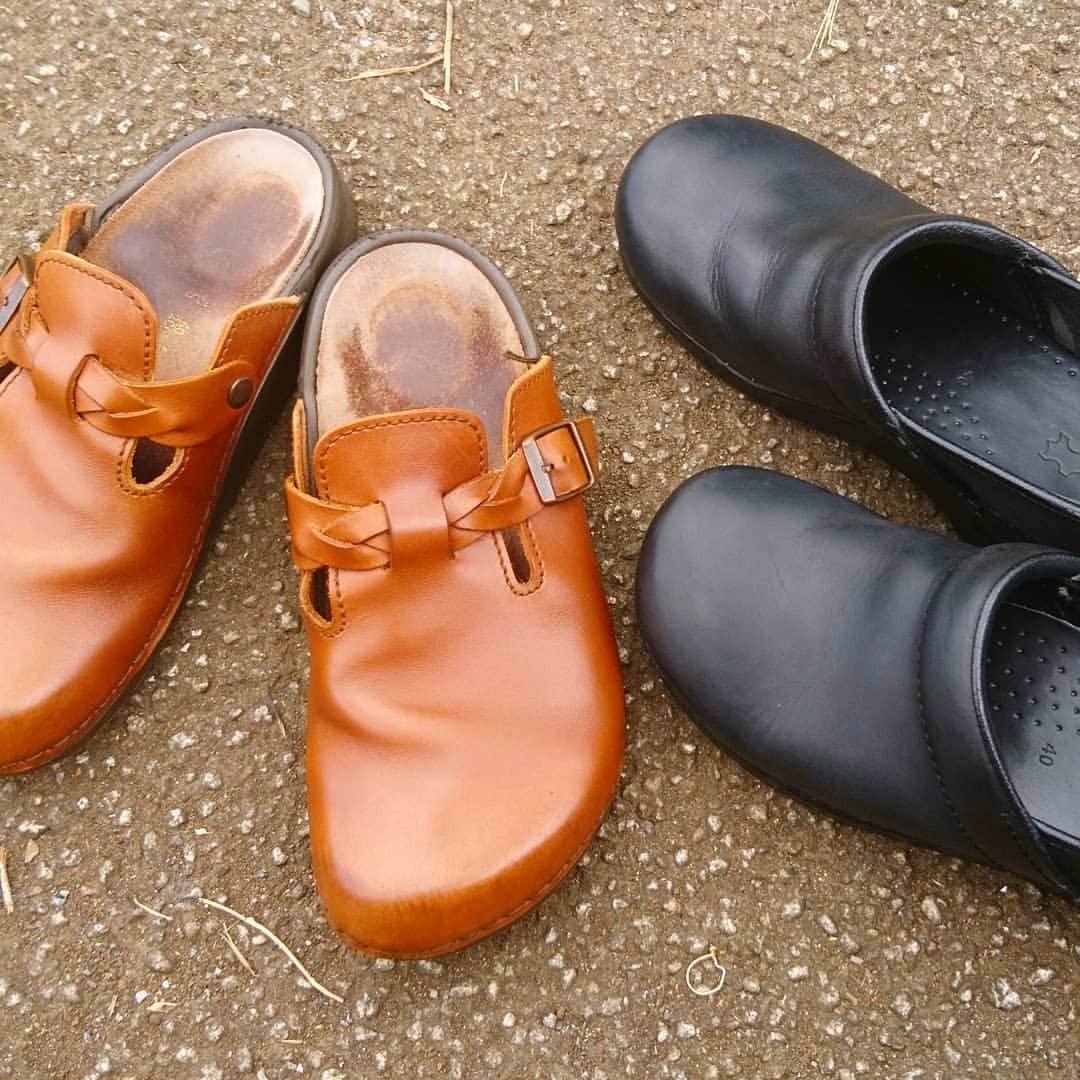 喜安浩平のインスタグラム：「陽射しがまあまあだったので外で磨き作業。 BIRKENSTOCK 70% DANSKO 70%  少し間を開けてもう一回磨いたら終了。  BIRKENSTOCKは反応がはっきり出るのでうっかりテカテカにしてしまいそうになる。ほどほどがいい。 DANSKOはいよいよ縁が擦れて破れてきた。革がクリームを吸い込むのであまりやった感はないけど埃っぽさと傷は消えた。  園の送り迎えは脱ぎ履きしやすい靴になりがちなので、この二足は今夏も大活躍。ひと足先におつかれさま😌  スニーカーも洗いたいけどそれはカリッカリに晴れた日にしよう。」