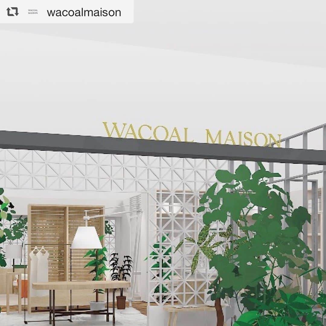 ワコールさんのインスタグラム写真 - (ワコールInstagram)「new open✨[WACOAL MAISON(ワコールメゾン)] @wacoalmaison   ‟ワードローブのある邸宅”をイメージした新ランジェリーショップ 『WACOAL MAISON(ワコールメゾン)』  東京・銀座のGINZA SIX（ギンザ シックス）に、本日オープン！  あなただけの一枚を選ぶ瞬間を、 贅沢に。 自分と向き合い、心とカラダにぴったりと合うランジェリーを探すことは、とても大切で特別な時間。 だからこそランジェリーそのものだけでなく、選ぶ瞬間も、ワクワクと心躍る豊かなものにしてほしい。 あなたただけの一枚に出会うための大切な時間に寄り添い、一緒に探すお手伝いがしたい。 それがWACOAL MAISONの想いです。 ゆったりとお選びいただける、プライベートな空間をご用意してお待ちしております。  #ginzasix #ギンザシックス #美容垢　#美容垢さんと繋がりたい  　 #repost @wacoalmaison . #wacoal #wacoalmaison #ワコールメゾン」8月26日 12時19分 - wacoal.jp