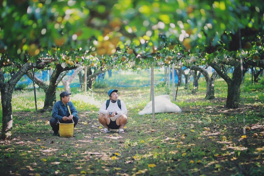 福岡超新鮮野菜/フレラボ薬院店のインスタグラム：「梨農園🍐 . . #梨#農家#農業」