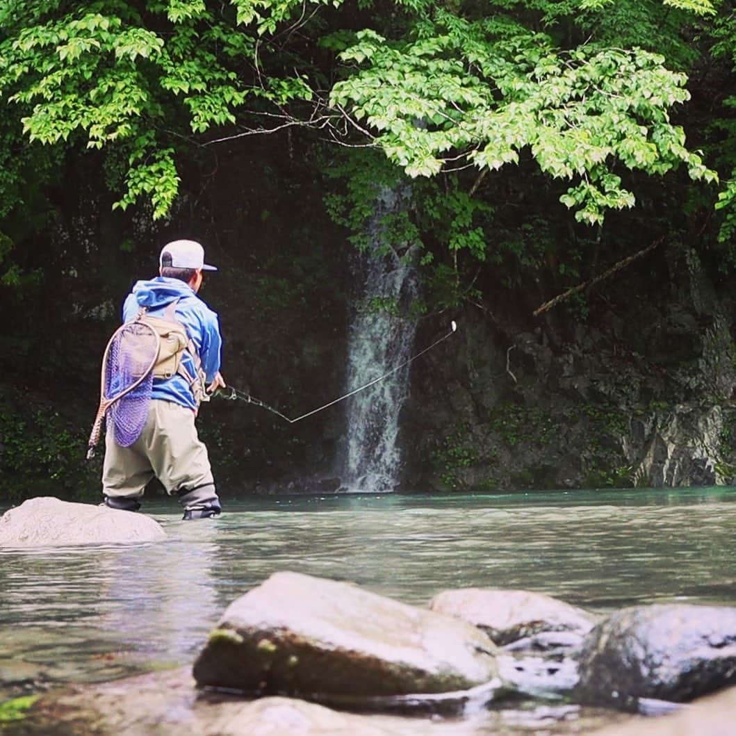 ジャッカルさんのインスタグラム写真 - (ジャッカルInstagram)「Stream Fishing.  清々しい渓流の中でのトラウトゲームは最高の癒し。釣果以上の得るものがそこにはあります。  @timon_insta   #jackall #timon #stream #river #trout # fishing #ジャッカル #ティモン #トラウト #鱒 #マス #nature #自然」8月26日 13時23分 - jackall_jp