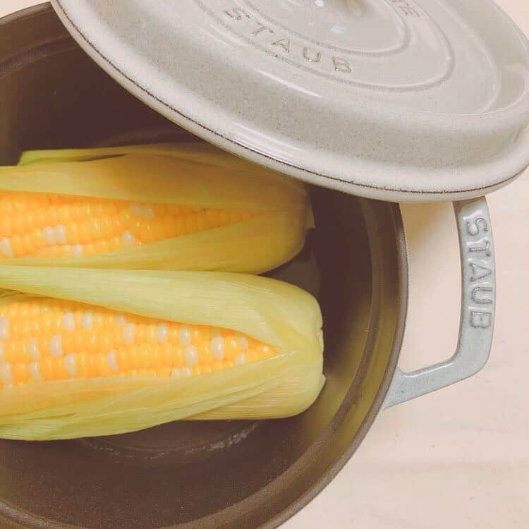 staub ストウブのインスタグラム