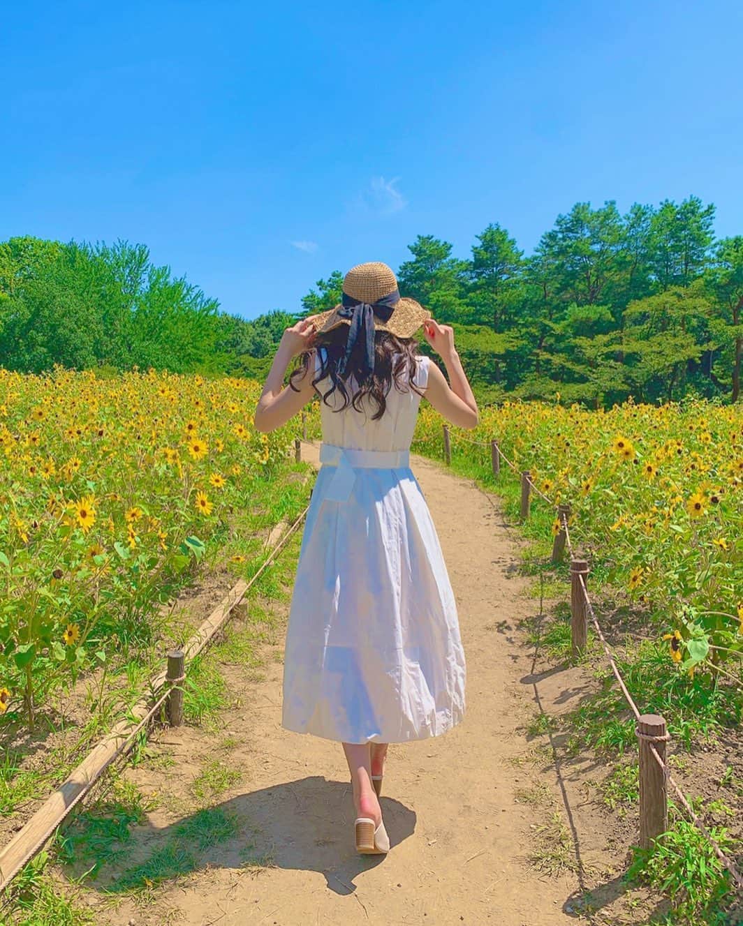 関根ささらさんのインスタグラム写真 - (関根ささらInstagram)「🌻🌻🌻👒🌻🌻🌻 . . #昭和記念公園 の #ひまわり畑 🌻☀️ ジブリ感でてるかなぁ？？🥰👒 . . 天気良すぎて熱中症寸前でした🥵🥵💦 . . #ひまわり畑🌻 #ひまわり #ジブリの世界 #summer #sunflower #sunny #sunnyday #ghibli #japan #tokyo #japanesegirl #idol #japaneseidol #followme #粉我 #팔로미」8月26日 14時27分 - sasarasekine