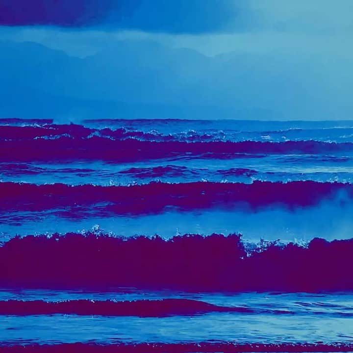 Maroon 5のインスタグラム：「“Nobody’s Love” lyric video • out now • link in stories」