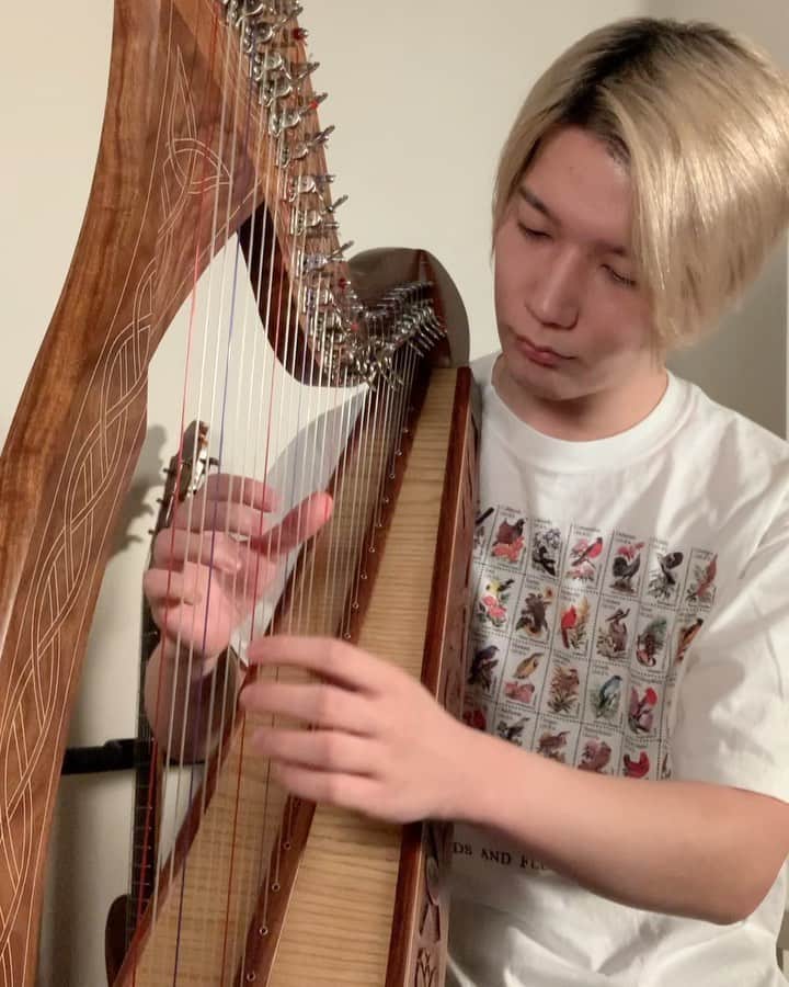 ichikaのインスタグラム：「むっっっっっず(40days Harp Progress)」