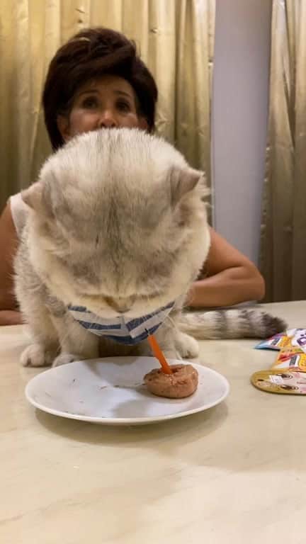 Haruのインスタグラム