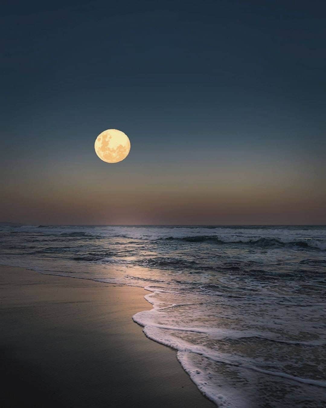 Discover Earthさんのインスタグラム写真 - (Discover EarthInstagram)「The most magical full moon... "Want to find out where the moon goes"  🇿🇦 #discoversouthafrica with @herman.strydom  #fullmoon #southafrica #beachnight」8月27日 0時30分 - discoverearth