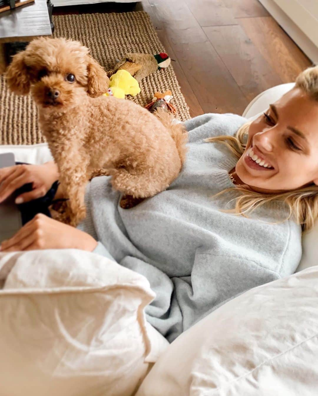 Mollie Kingさんのインスタグラム写真 - (Mollie KingInstagram)「I think every day is Alfie’s day in my house, deservedly so!! Happy #internationaldogday 🐶 @alfiethetoy」8月27日 0時39分 - mollieking