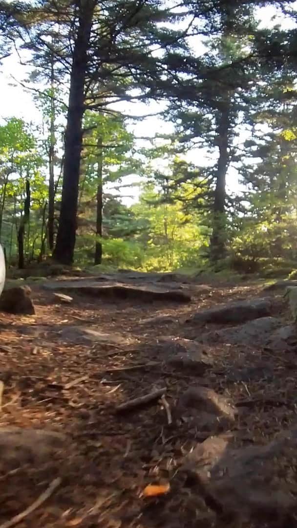 Lonely Planetのインスタグラム：「Road trips are the perfect time to try out new camera gear and the Insta360 has an invisible selfie stick that makes capturing your travel memories even better.   #insta360ONER #invisibleselfiestick」