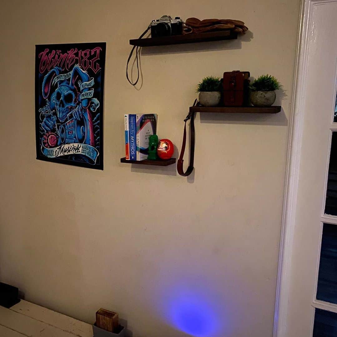 タイラー・ポジーのインスタグラム：「Very proud of my shelves and plants. Aesthetics coming together. Turn your home into your nest or whatever. Poop strong and surf naked 🤙」