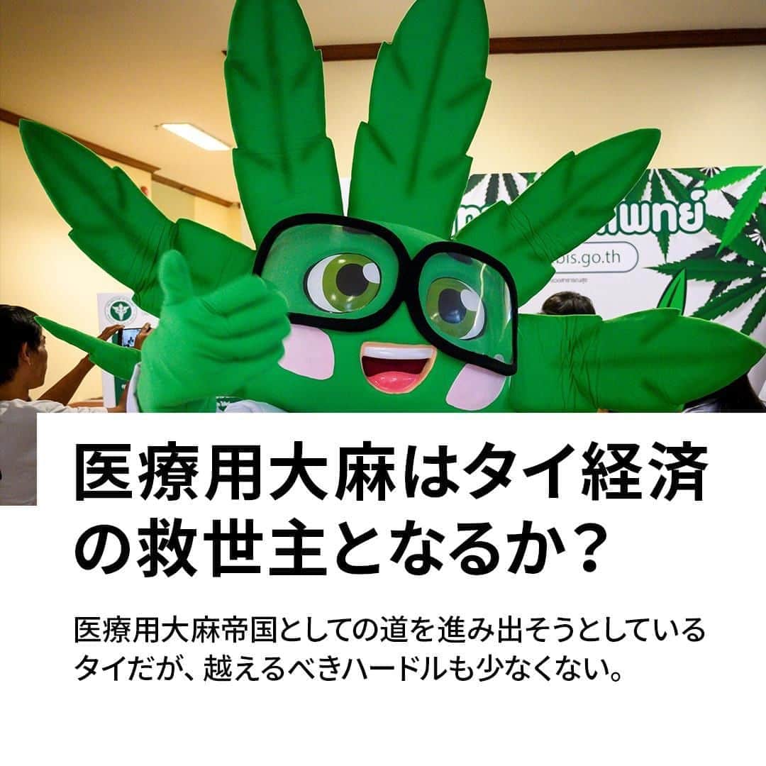 VICE Japanさんのインスタグラム写真 - (VICE JapanInstagram)「東南アジア全体で薬物に対して保守的な政策を進めている一方、タイが東南アジアで初めて医療用、研究用の大麻を解禁したのは2018年。改正された麻薬取締法では、医師による処方箋があれば、患者は規定量の大麻を所持できるようになった。以来、医療用大麻業界は拡大の一途をたどっている。 link in bio.」8月26日 16時26分 - vicejapan
