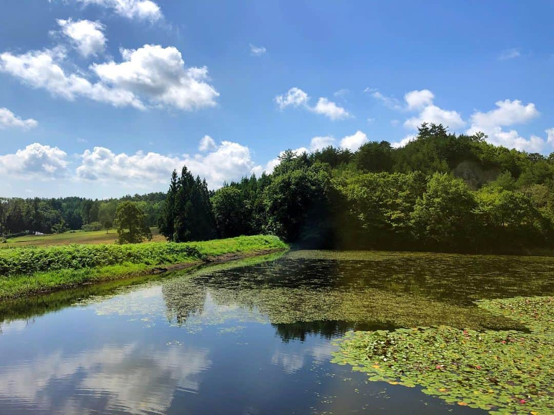 TOWAのインスタグラム：「📷from Minamisōma, Fukushima.  福島県南相馬市の円明院で波動整えてきました。おすすめです✨」