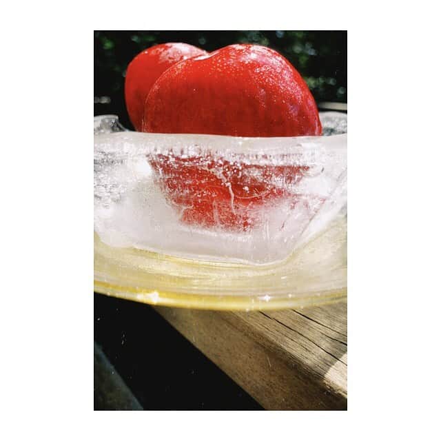宇藤えみさんのインスタグラム写真 - (宇藤えみInstagram)「硝子と氷の器。 溶けていく姿もまたかわいい♪ 器 @studioprepa  氷のうつわ ROOMに載せてみました #食と器#暮らし」8月26日 16時51分 - emiuto