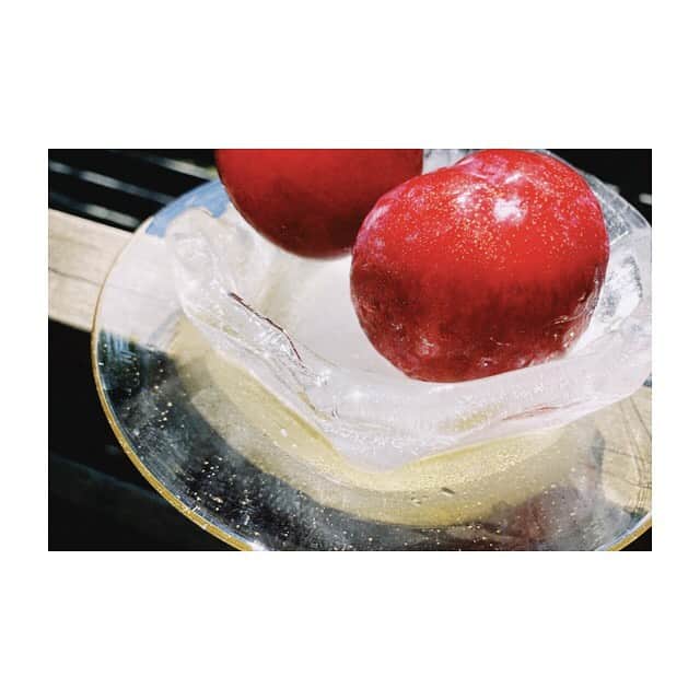 宇藤えみさんのインスタグラム写真 - (宇藤えみInstagram)「硝子と氷の器。 溶けていく姿もまたかわいい♪ 器 @studioprepa  氷のうつわ ROOMに載せてみました #食と器#暮らし」8月26日 16時51分 - emiuto